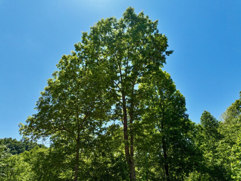 More Photos Of 0 Crestwood Road, Speedwell Land For Sale