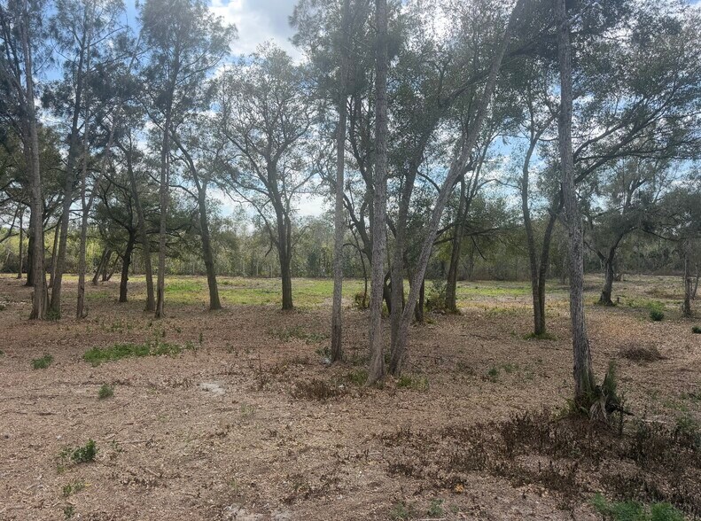 More Photos Of Tropic Street, Titusville Land For Sale
