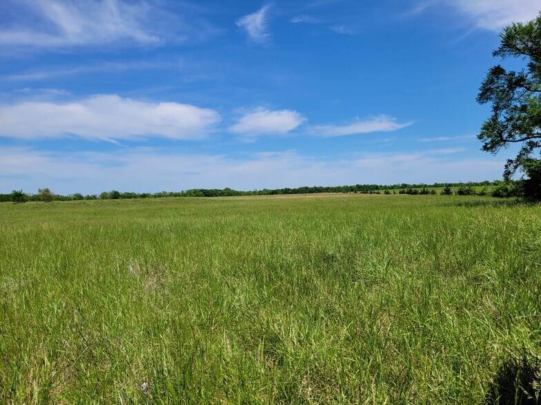 More Photos Of 110 Private Road 7316, Clarksville Land For Sale