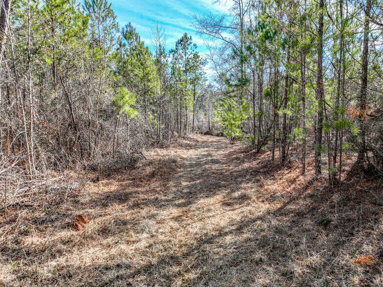 More Photos Of 184 Young Rd, Milledgeville Land For Sale