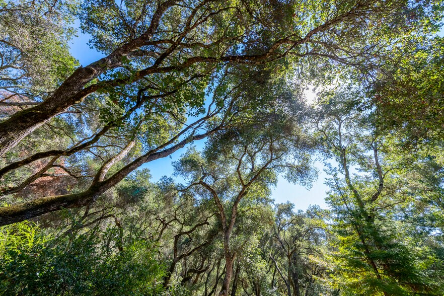 More Photos Of 2372 McKenzie Creek rd, Scotts Valley Land For Sale