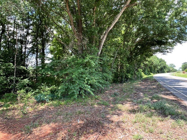 More Photos Of W Shockley Ferry Rd, Anderson Land For Sale