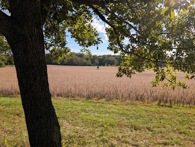 More Photos Of 22413 Highway C, Lawson Specialty For Sale