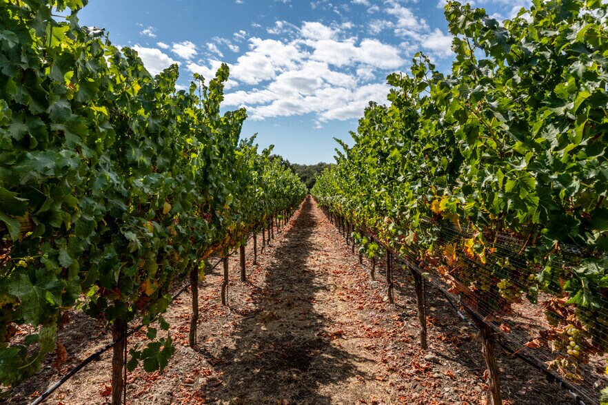 More Photos Of 3340 Lichau Rd, Penngrove Land For Sale