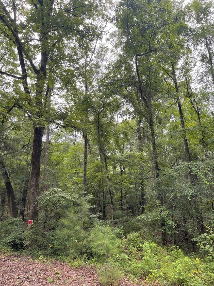 More Photos Of 17796 Dry Branch loop, Northport Land For Sale