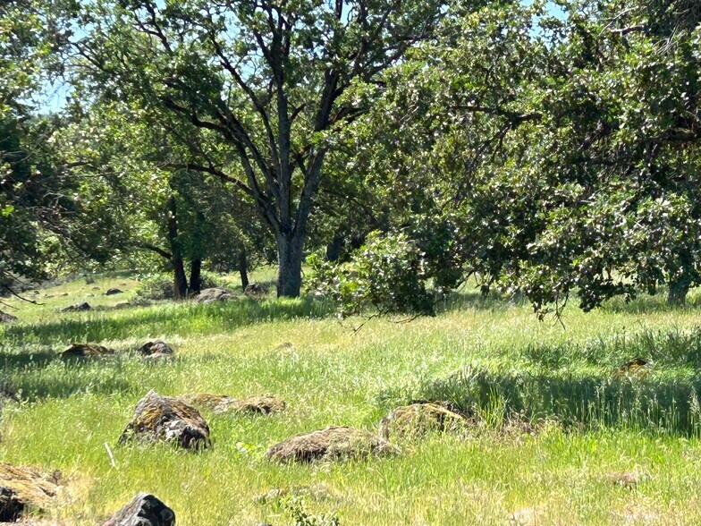 More Photos Of 5908 Foothill Rd, Central Point Land For Sale