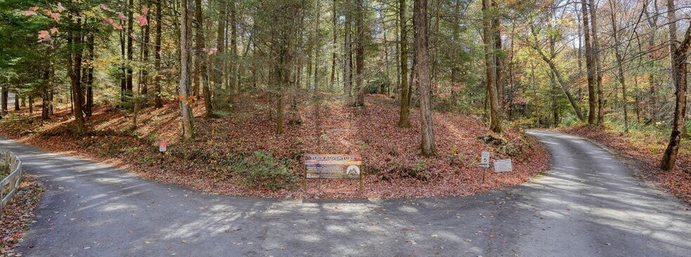 More Photos Of 400 Mulberry Gap Rd, Ellijay Hospitality For Sale