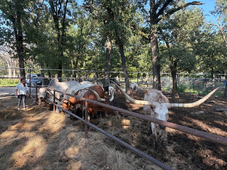 More Photos Of 14647 Lasater Rd, Dallas Land For Sale