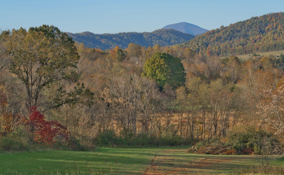 More Photos Of 294 Freshwater Cove Ln, Lovingston Hospitality For Sale