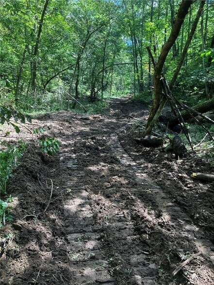 More Photos Of N3953 Bear Pen Rd, Arkansaw Land For Sale