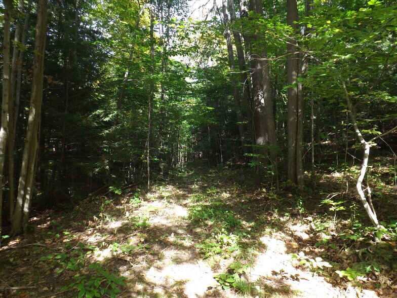 More Photos Of 0 Main St, Hunt Land For Sale