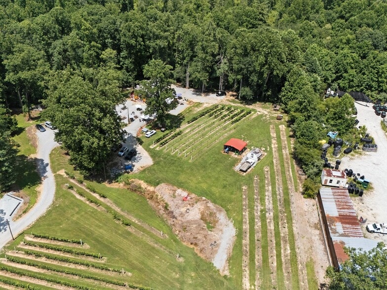 More Photos Of 124 Sandy Hill Ln, Hendersonville Winery Vineyard For Sale
