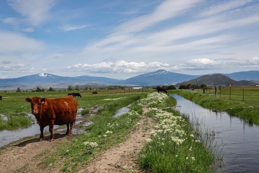 More Photos Of 1834 E. State 3 Hwy, Montague Land For Sale