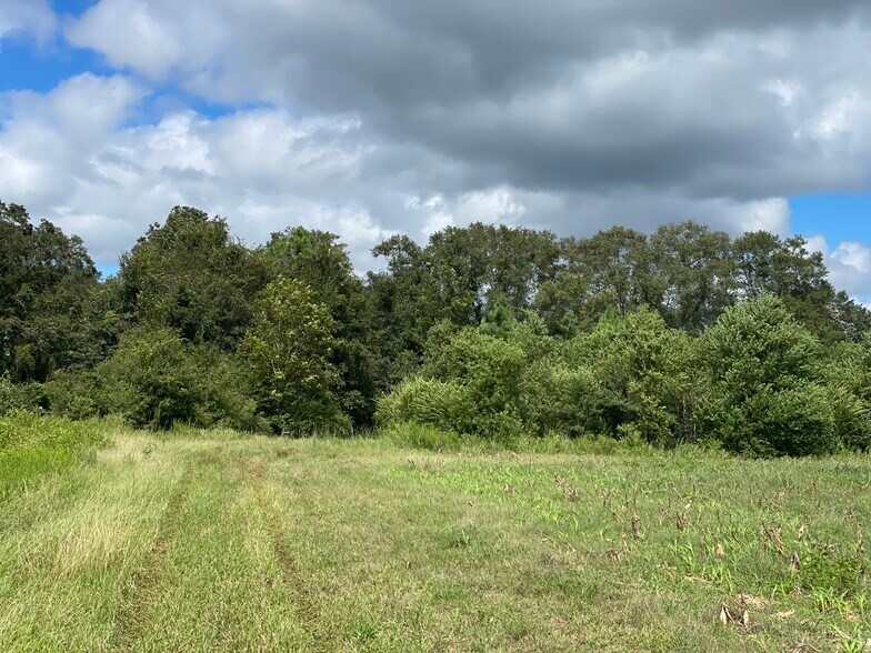 More Photos Of 5700 Pine Forest Rd, Walnut Hill Land For Sale