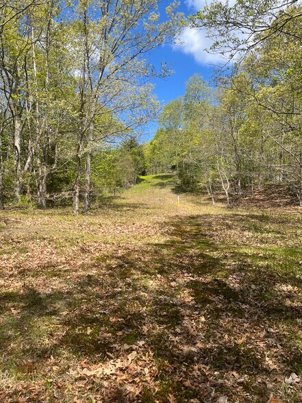 Primary Photo Of 17 McKay st, Norwich Land For Sale