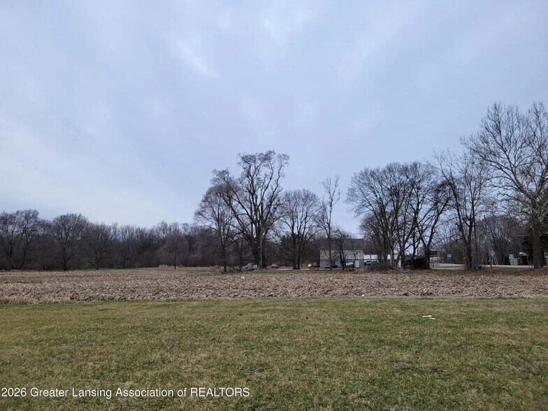 More Photos Of 0 M21 Hwy, Ovid Land For Sale