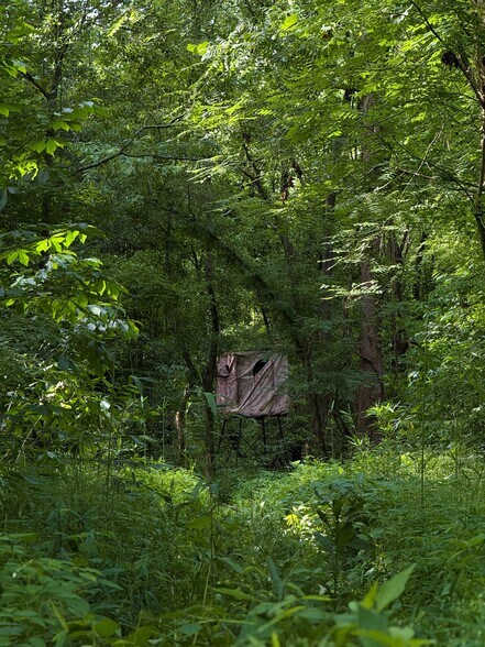 More Photos Of 00 Kennedy Rd, Winnsboro Land For Sale