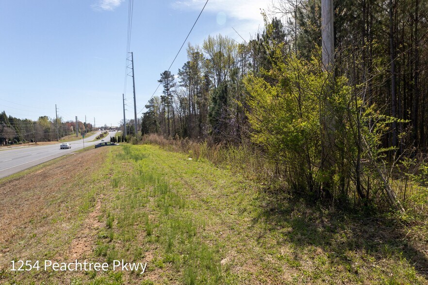 More Photos Of 1254 Peachtree Pky, Cumming Land For Sale
