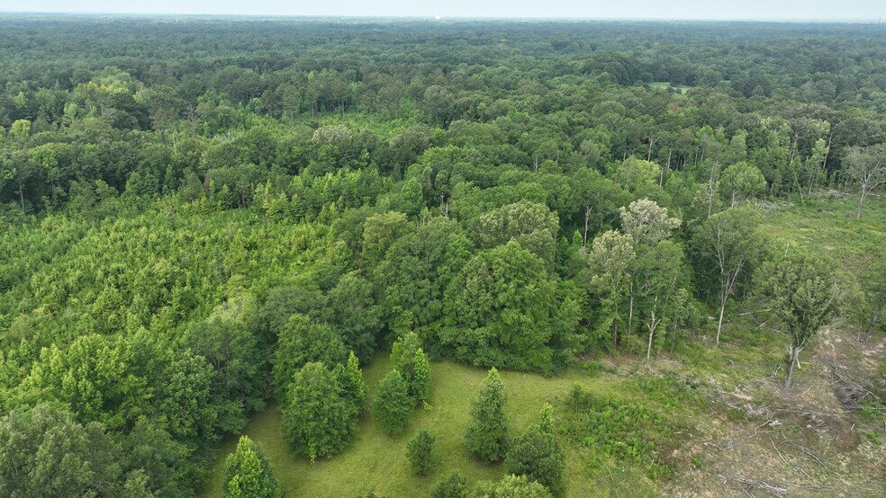 More Photos Of 9712 US Highway 31, Hope Hull Land For Sale