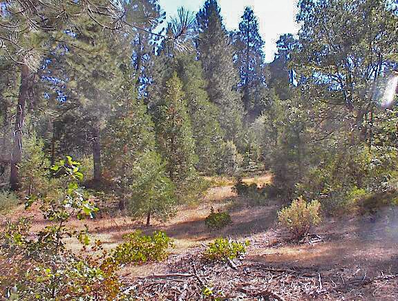 More Photos Of Highway 180 Hwy 180, Miramonte Land For Sale