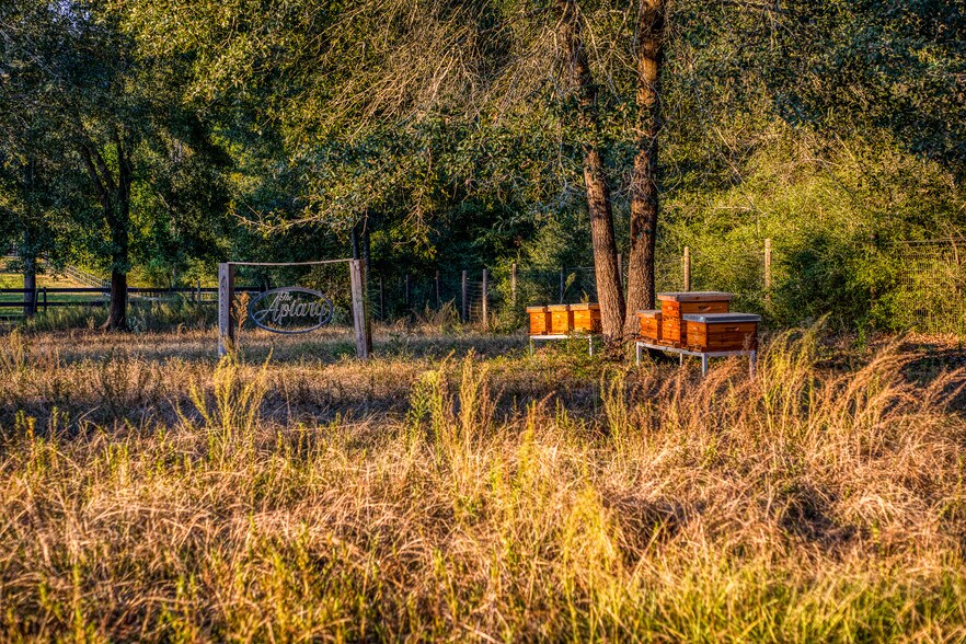 More Photos Of 23192 Murrell Rd, Hockley Lodge Meeting Hall For Sale