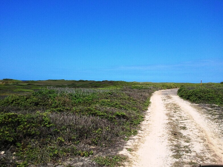 More Photos Of Kamehameha Highway @ marconi, Kahuku Land For Sale