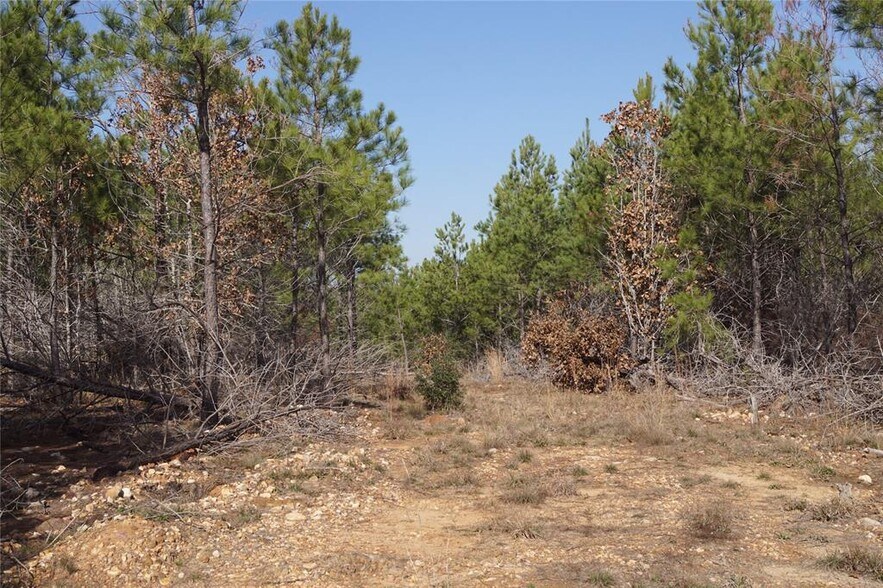 More Photos Of 488 Kelley Rd, Bastrop Land For Sale