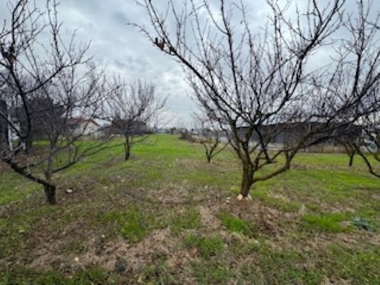 More Photos Of 3832 99 Frontage rd, Stockton Land For Lease