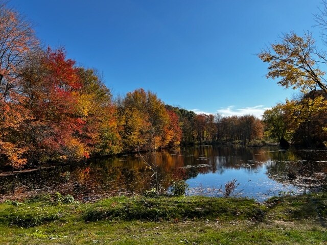 More Photos Of 964 Killingworth rd, Higganum Land For Sale