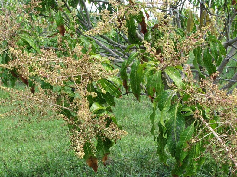 More Photos Of 9000 Stringfellow Rd, Saint James City Land For Sale