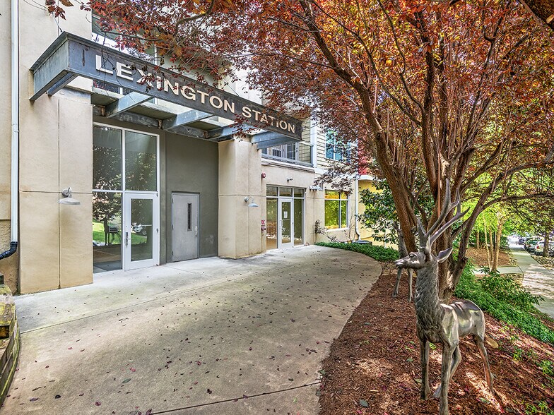 More Photos Of 125-161 S Lexington Ave, Asheville Apartments For Lease