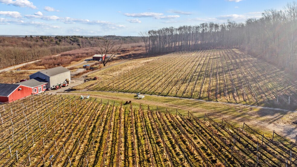 More Photos Of 848 CT-171, Woodstock Winery Vineyard For Sale