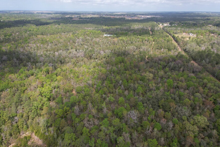 More Photos Of 12960 County Road 48, Silverhill Land For Sale