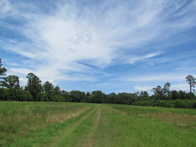 More Photos Of 214 Seabrook, Seabrook Land For Sale