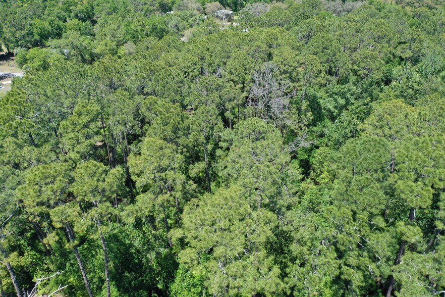 More Photos Of 638 Walnut St, Welaka Land For Sale