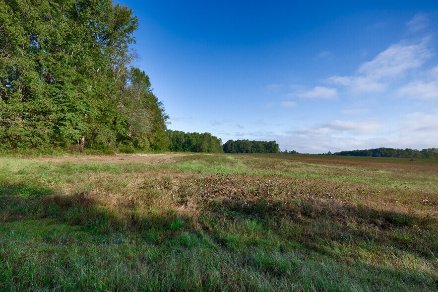 More Photos Of 20Acres Manley Rd, Hazel Green Land For Sale