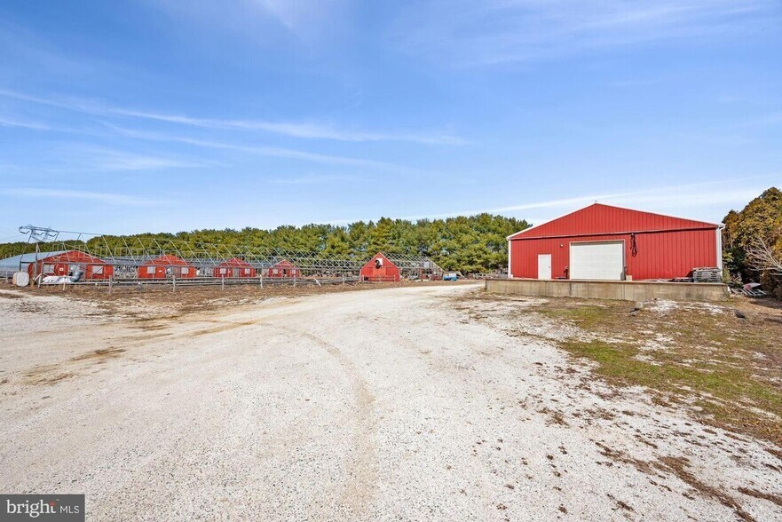 More Photos Of 601 Quinton Marlboro Rd, Bridgeton Land For Sale