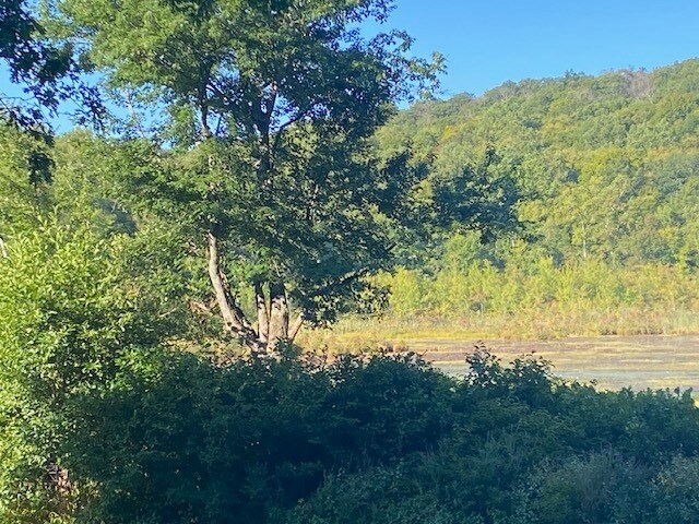 More Photos Of 152 Lily Lake Rd, Highland Land For Sale