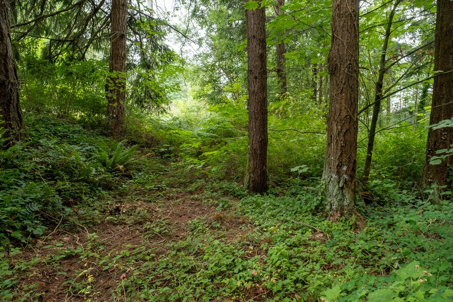 More Photos Of 750-800 Samish, Bellingham Land For Sale