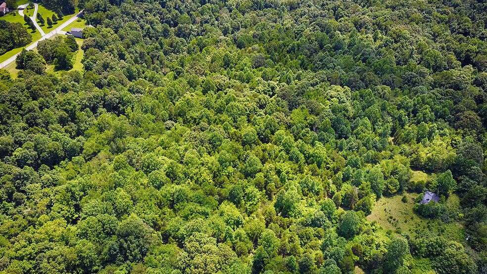 More Photos Of 518 Southside Rd, Cunningham Land For Sale