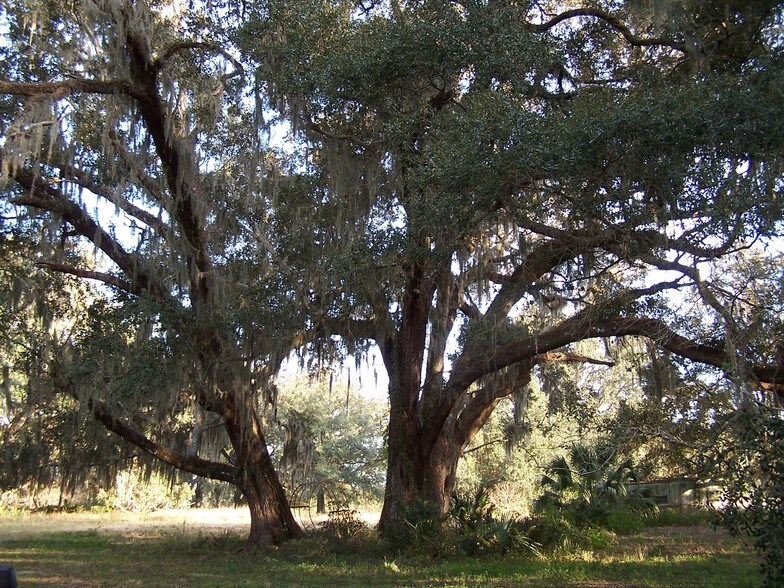 More Photos Of Powell Rd, Brooksville Land For Sale