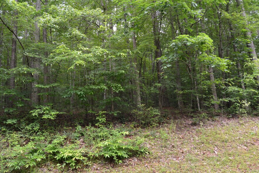 More Photos Of 0 Tom Wright Rd, Franklinton Land For Sale
