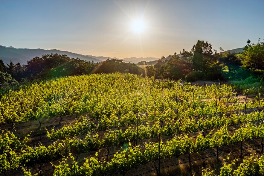 More Photos Of 786 Pompadour Dr, Ashland Land For Sale