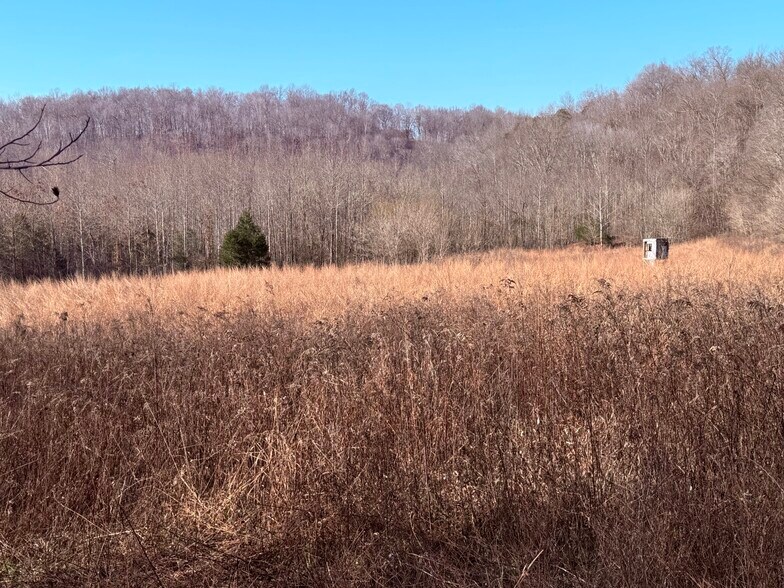 More Photos Of 4604 Summersville Rd, Campbellsville Land For Sale