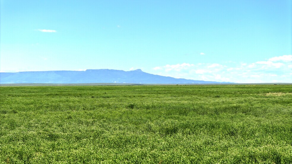 More Photos Of 48999 County Road 48, Model Land For Sale