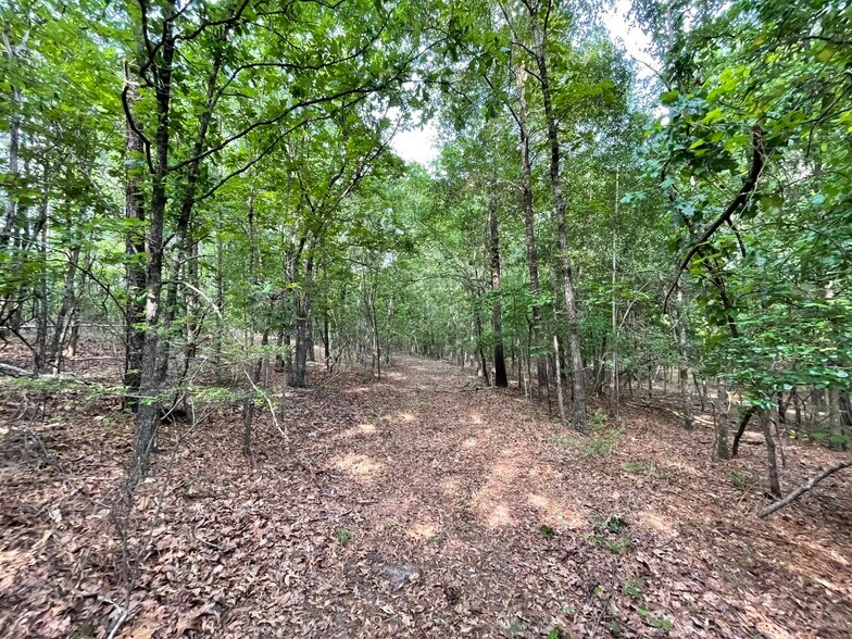 More Photos Of 229 Colbert Bridge Road, Windsor Land For Sale