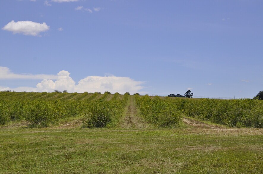 More Photos Of Lake Marie Dr, Dundee Land For Sale