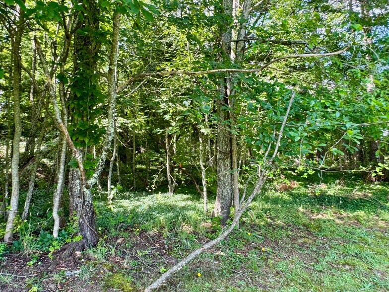 More Photos Of 1388 Ritter Dr, Daniels Freestanding For Sale