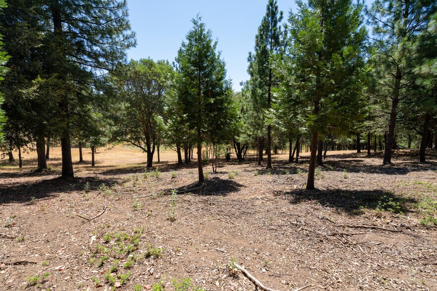 25755 State Highway 88, Pioneer, CA 95666 Land For Sale