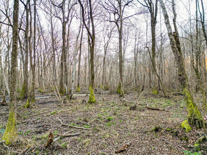 More Photos Of 9036 Bullard Rd, Dry Branch Lodge Meeting Hall For Sale